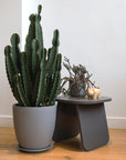 Momoko Side Table