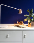 Chaplin Desk Lamp | Urban Avenue