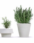Fold Flexible Planter | Urban Avenue