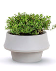 Fold Flexible Planter | Urban Avenue