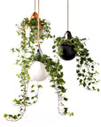 Sling Hanging Planter - Black | Urban Avenue