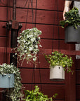 Block Hanging Planter | Urban Avenue