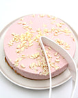Magisso Cake Server | Urban Avenue