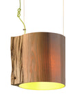 The Wise One Pendant Light