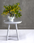 Naïve 45 Side Table | Urban Avenue