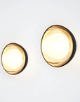 Muse Wall Light | Urban Avenue