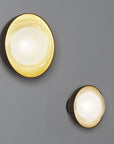 Muse Wall Light | Urban Avenue