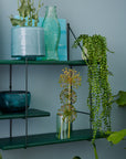 Shrink Shelf