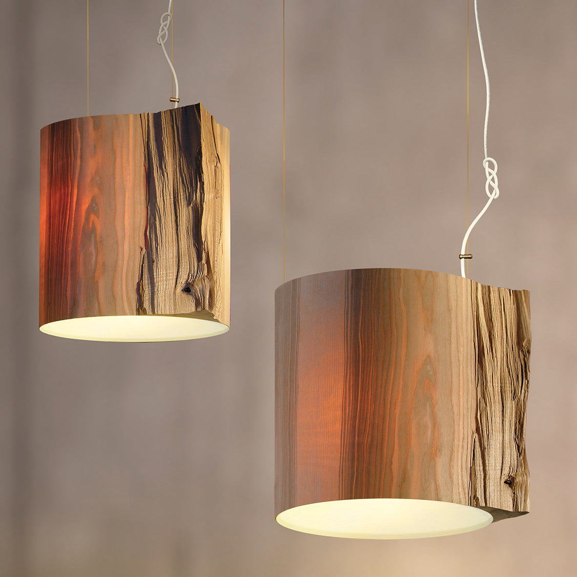 The Wise One Pendant Light